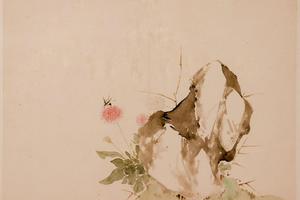 花卉虫草图册