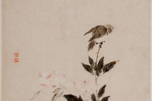 花鸟蔬果图