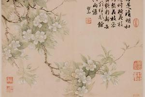 花卉图册