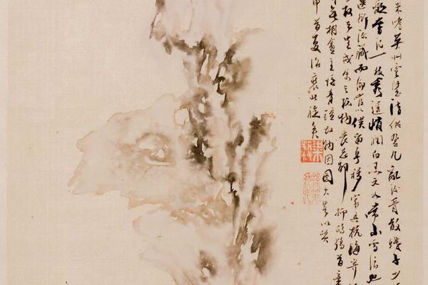 花卉图册
