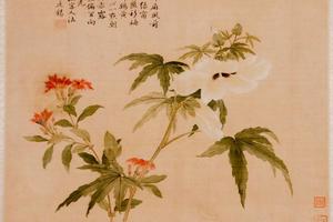 杂画册