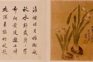 花果图册