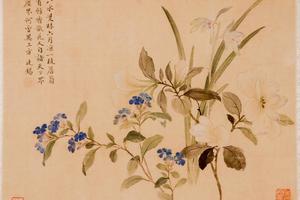 杂画册