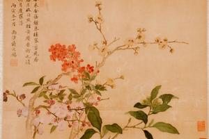 杂画册
