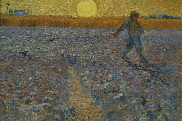 The Sower