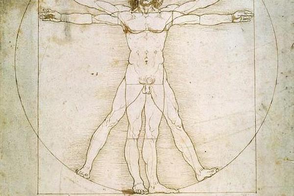 维特鲁威人 Vitruvian Man