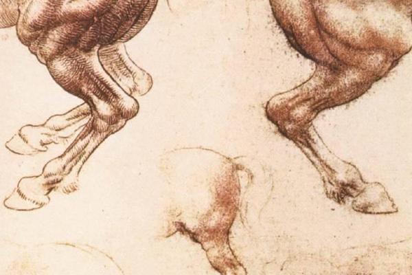 素描-马匹的研究（1504-1506）（温莎皇后收藏）