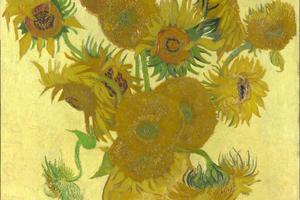 sunflowers
