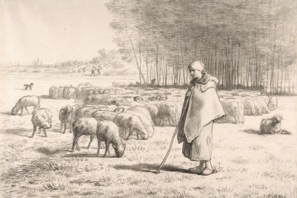 A Shepherdess with Her Flock