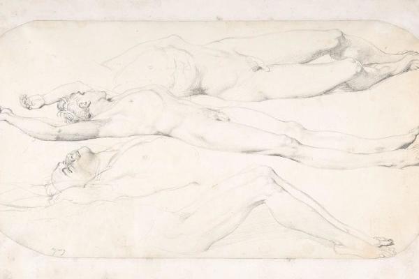 Studies for the Cadaver of Acron 