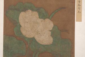 莲花图页