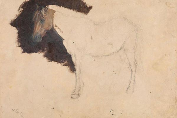 Study of a Horse （马的研究）