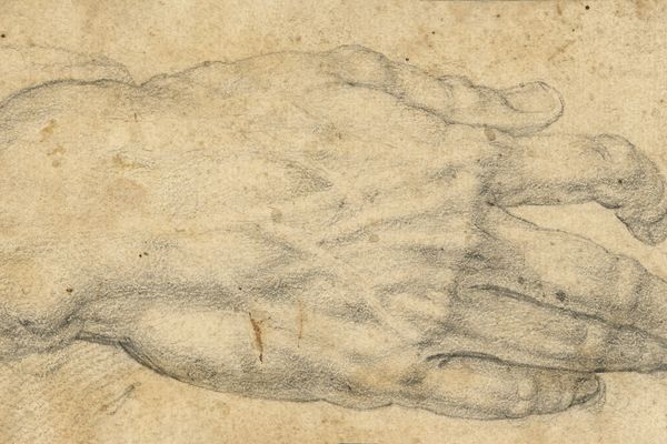 Study of a man's right hand （一个男人的右手）