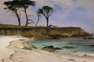 Sea Cove （海湾）