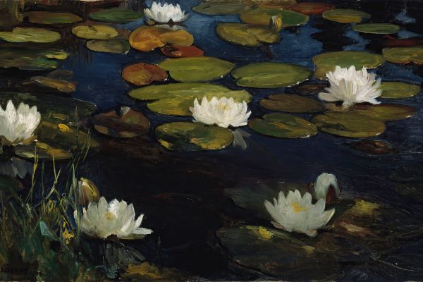 Water Lilies, Study for the Youth and a Mermaid（睡莲）