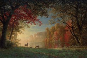 Indian Sunset, Deer by a?Lake （印度日落，湖边的鹿）