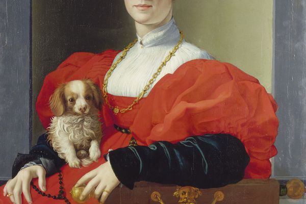 Portrait of a Lady in Red (Francesca Salviati) （红衣女郎画像(弗朗西斯卡·萨尔维亚蒂)）