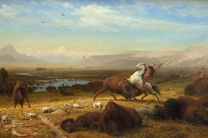 The Last of the Buffalo （最后的水牛）
