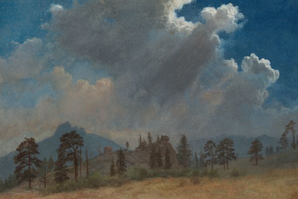 Fir Trees and Storm Clouds （火树和暴风云）