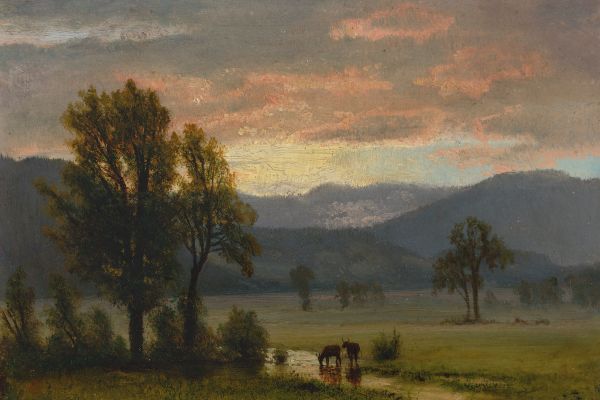 Landscape With Cattle（景观与牛）