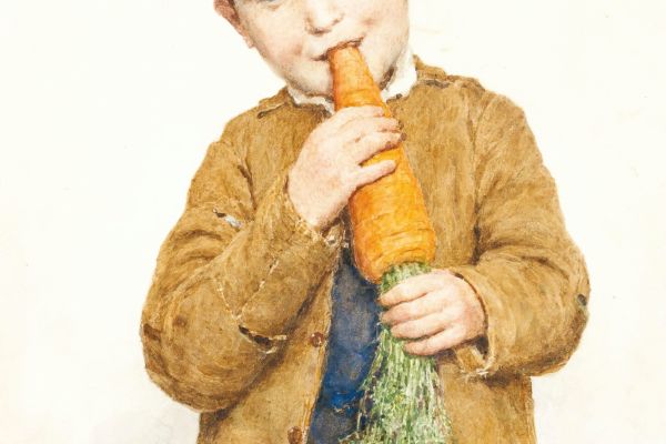 The Little Boy With The Big Carrot （拿着大胡萝卜的小男孩）