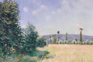 Sahurs Meadows in Morning Sun （萨赫斯的草地在早晨的太阳下）