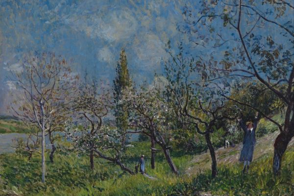 Orchard in Spring （春天的果园）