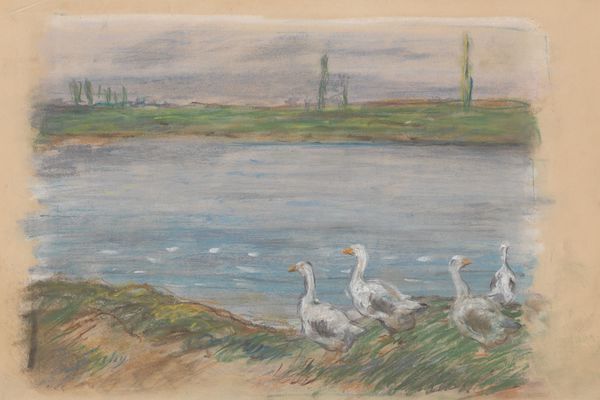 Four Geese By a Pond （池塘边的四只鹅）