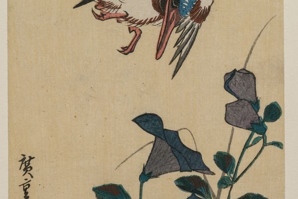 翠鸟和风铃草（Kingfisher and Chinese Bellflowers）