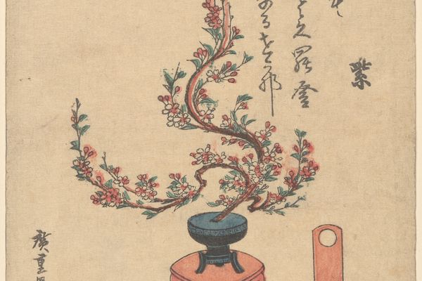 展台上蓝盆中的樱花（Cherry Flowers in Blue Pot on Stand）