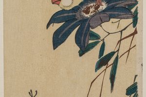 格罗斯比克和铁线莲（Grosbeak and Clematis）