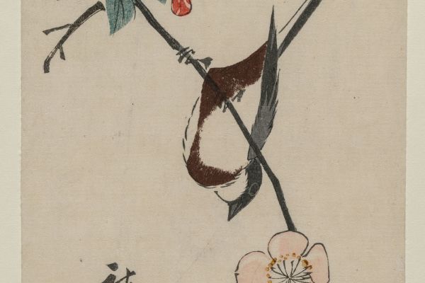 樱桃枝上的小鸟（燕子）（Small Bird(Swallow )on Cherry Branch）