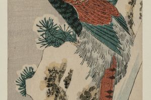 雪瀑布旁的铜雉鸡（Copper Pheasant by Snowy Waterfall）