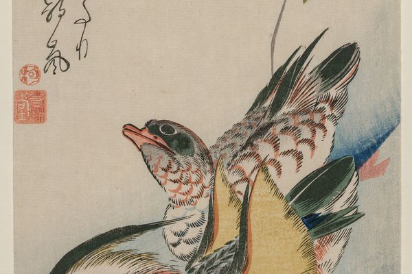 鸳鸯和开花植物（Mandarin Ducks and Flowering Plants）