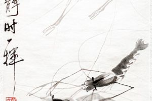 群虾图
