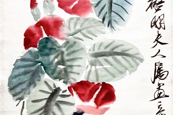 月光花
