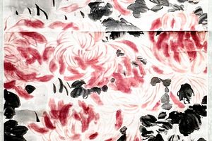 菊石图
