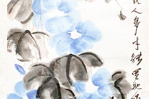 牵牛花
