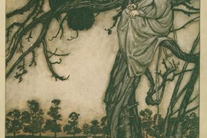 把他那奇怪的案子放在老所罗门猫面前(Put his strange case before old Solomon Caw )