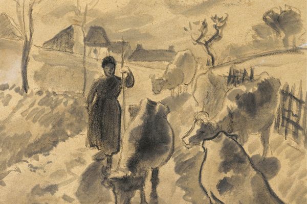 一个女孩带领一群牛沿着一条路(Girl leading a herd of cows along a road )