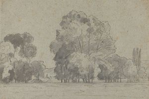 树丛(Grove of Trees )