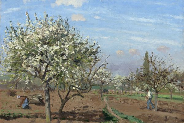 布鲁姆的果园，卢韦西安(Orchard in Bloom,Louveciennes )