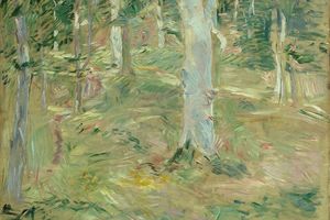 贡比涅森林（Forêt de Compiègne ）
