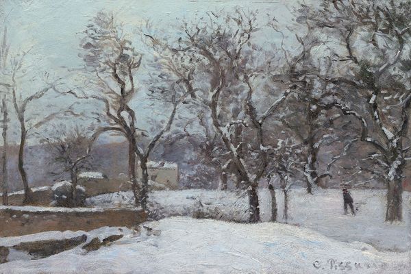 卢维西亚的雪(Snow at Louveciennes )