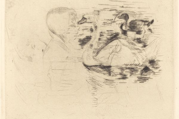 静水中的天鹅（Swans at Stagnant Water ）