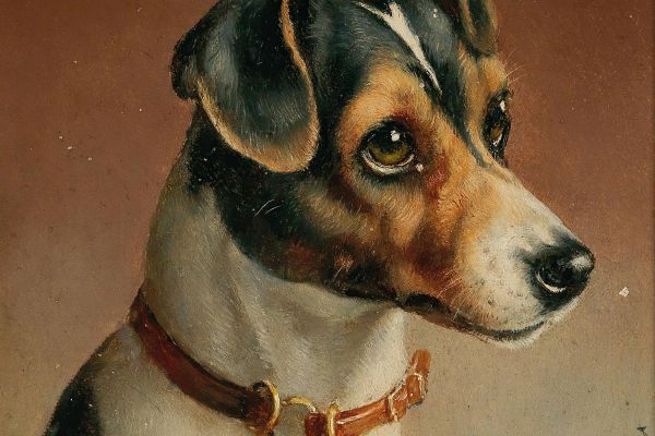 杰克罗素梗犬的肖像(Portrait of a Jack Russel Terrier)