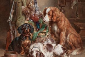 狩猎后(After the Hunt )