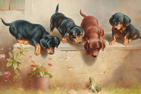 好奇的腊肠小狗和一只青蛙(Curious dachshund puppies and a frog)