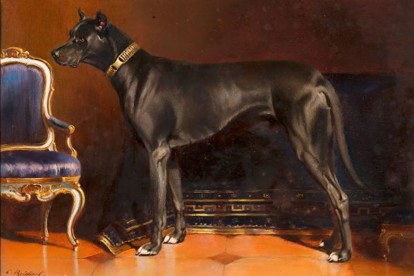 男性影子，伊丽莎白皇后的狗(Rüde Shadow, Hund von Kaiserin Elisabeth )