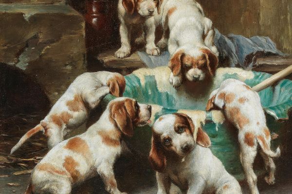 比格犬幼犬盛宴(Beagle Puppies Feasting )